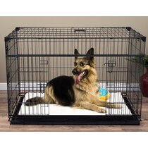 Kong dog clearance crate sizes